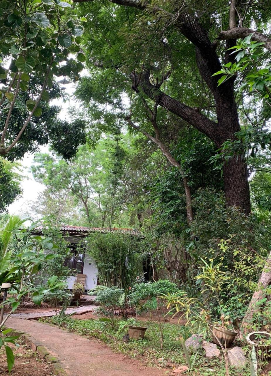 Manju Homestay Sigirija Zewnętrze zdjęcie
