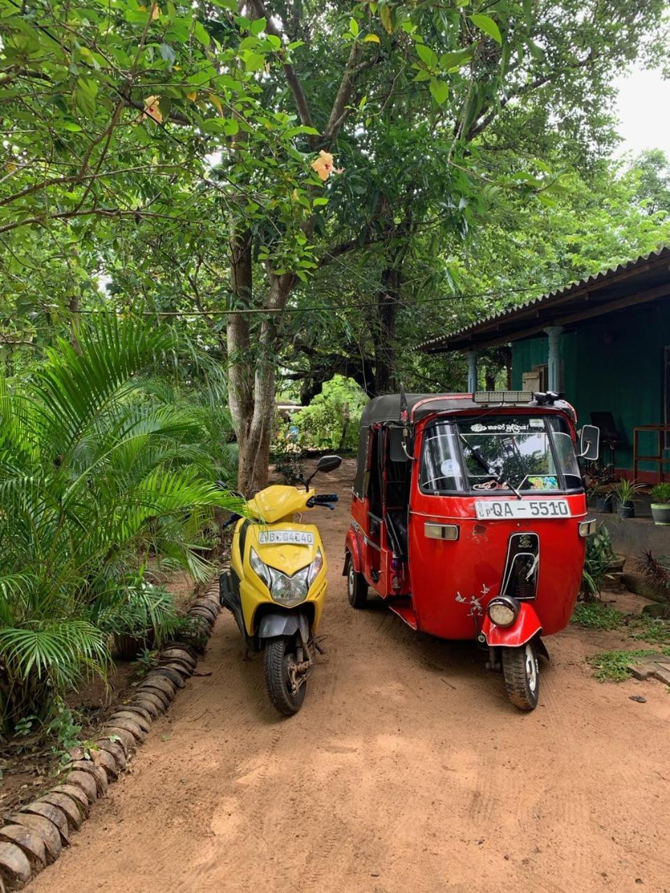 Manju Homestay Sigirija Zewnętrze zdjęcie