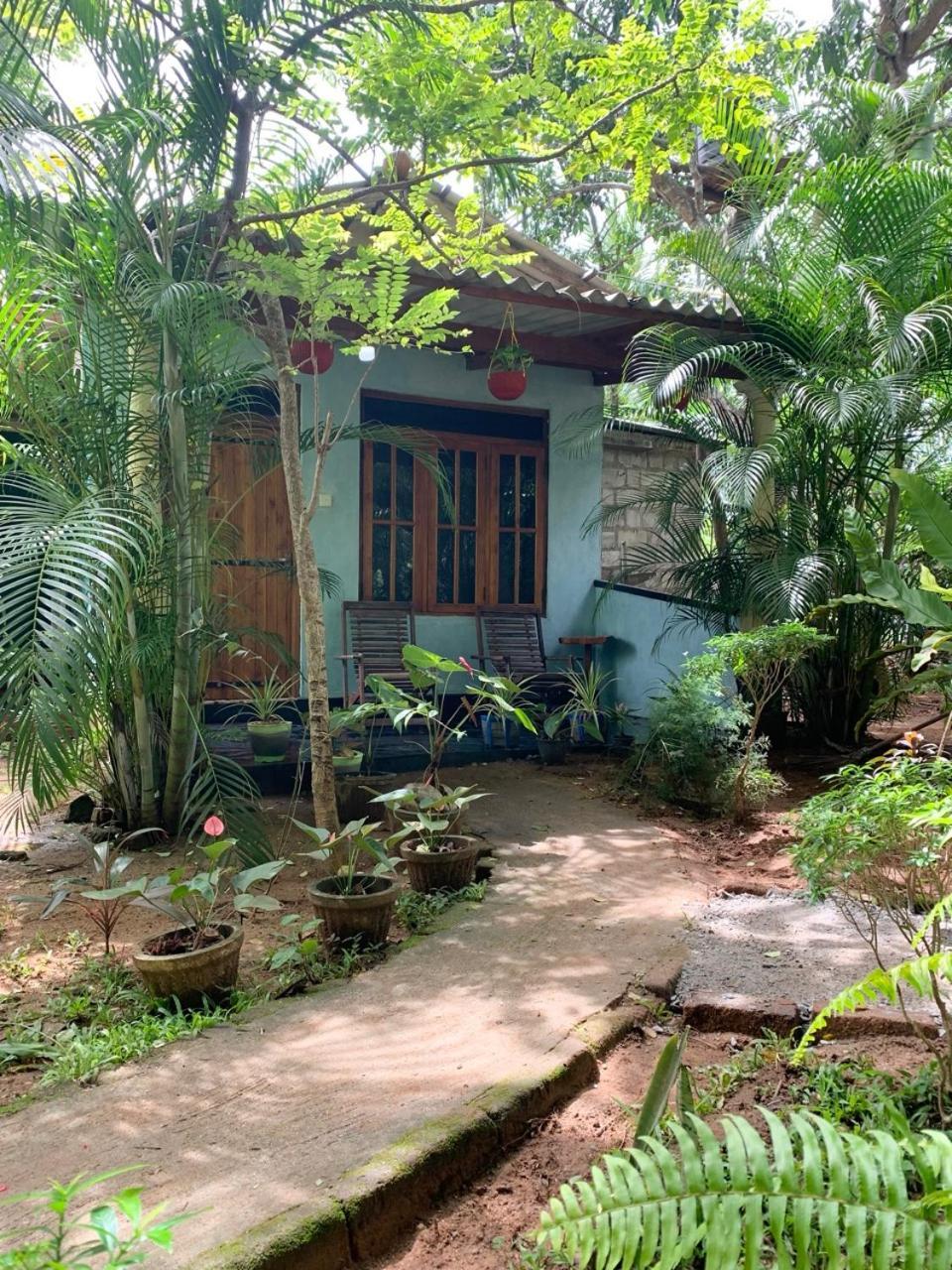 Manju Homestay Sigirija Zewnętrze zdjęcie