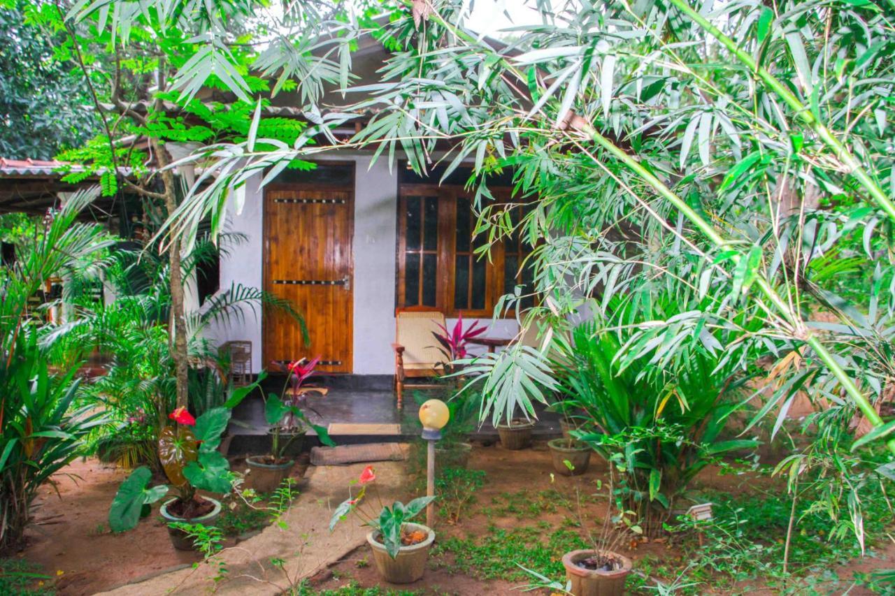 Manju Homestay Sigirija Zewnętrze zdjęcie