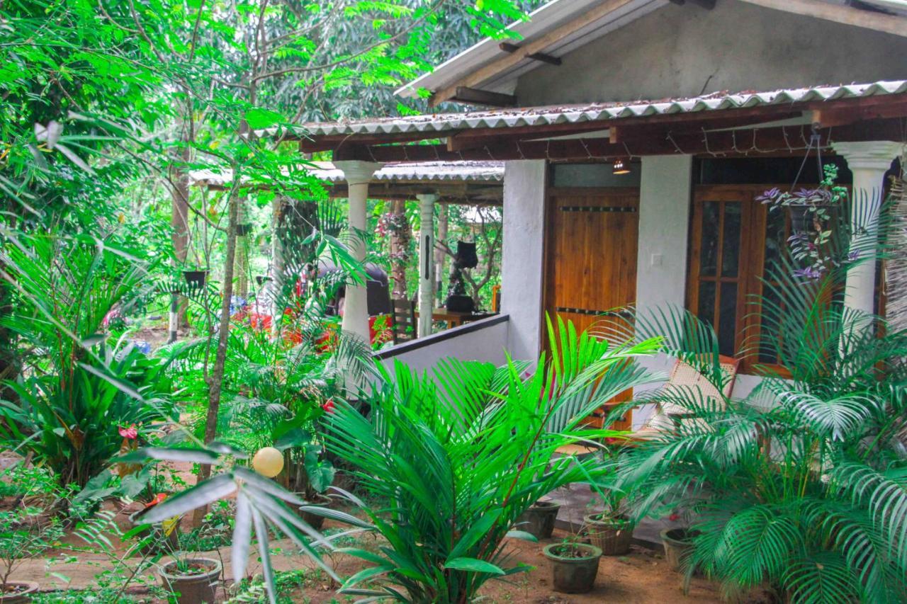 Manju Homestay Sigirija Zewnętrze zdjęcie
