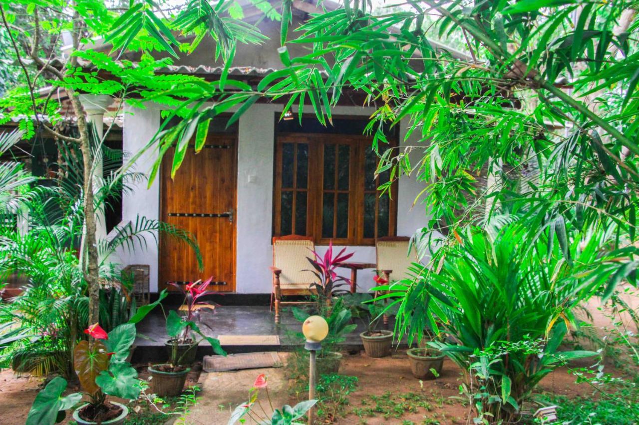 Manju Homestay Sigirija Zewnętrze zdjęcie