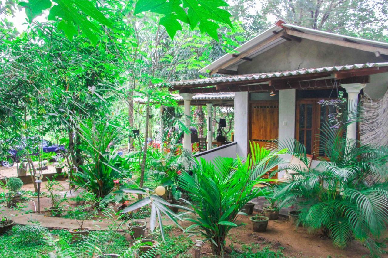 Manju Homestay Sigirija Zewnętrze zdjęcie