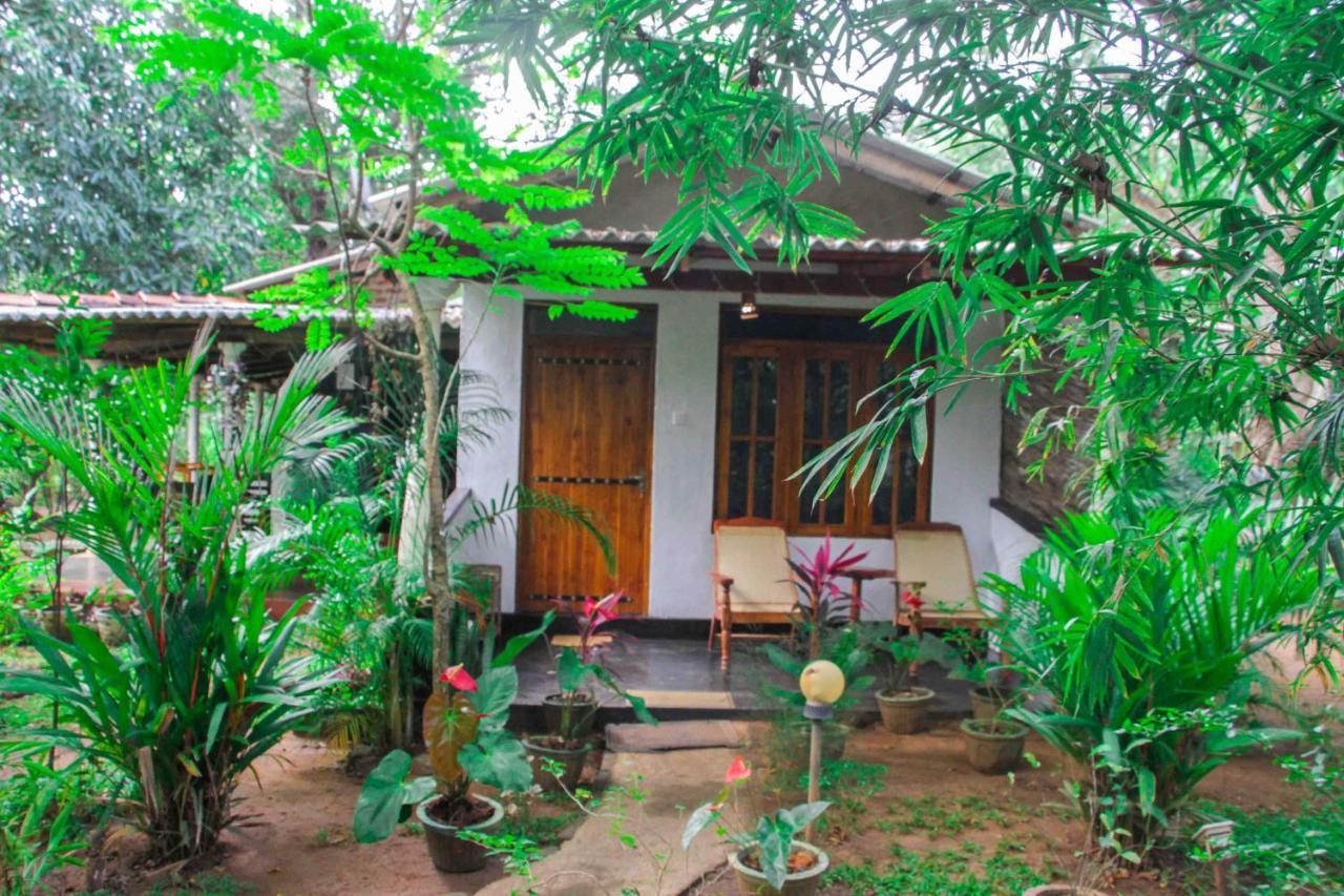 Manju Homestay Sigirija Zewnętrze zdjęcie