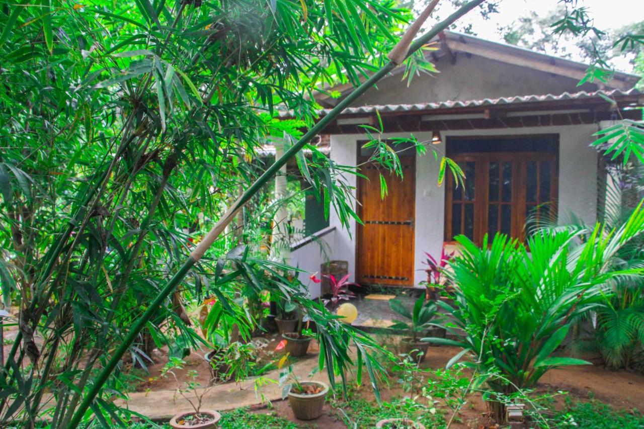 Manju Homestay Sigirija Zewnętrze zdjęcie